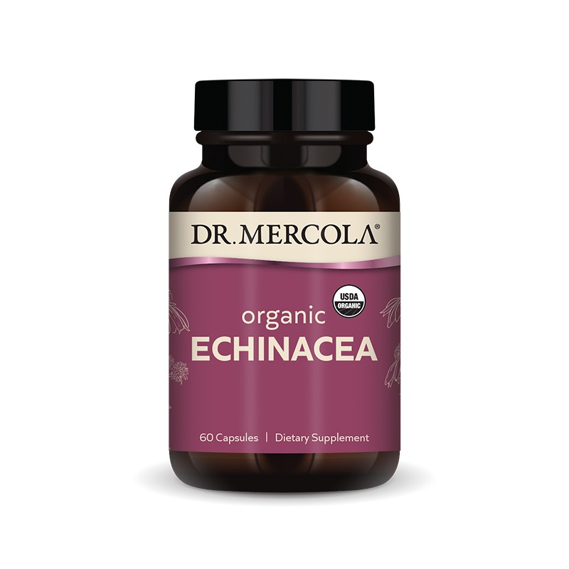 Echinacea Organic 900mg x60 C. - Dr. Mercola - Dr. Mercola