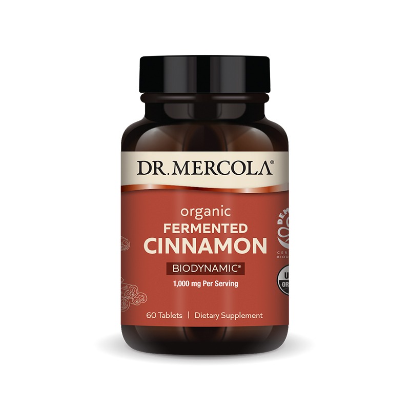 Cinnamon Organic Fermented x60 T. - Dr. Mercola - Dr. Mercola