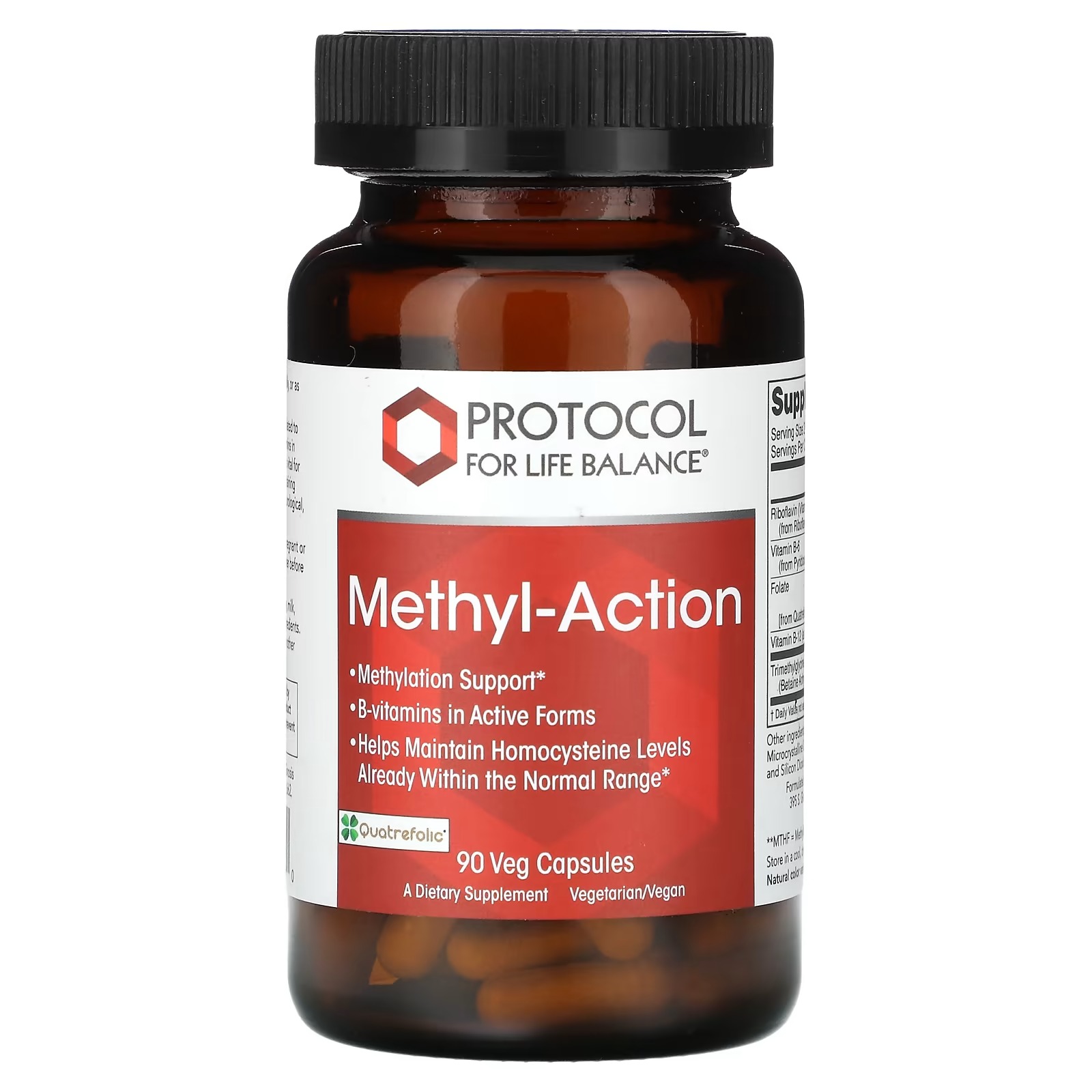 Methyl-Action x90 C. - Protocol For Life Balance - Protocol For Life Balance