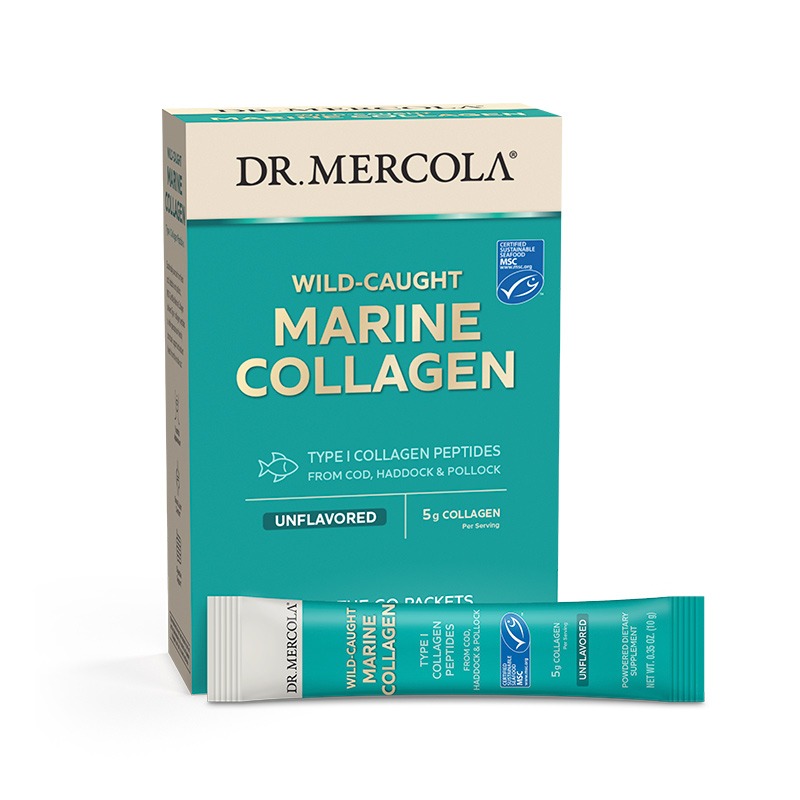 Marine Collagen (Wild Caught) x15 Packs. - Dr. Mercola - Dr. Mercola