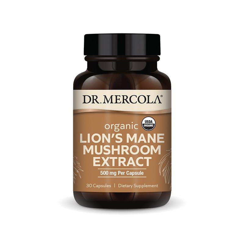 Lion's Mane Mushroom Extract (Organic) x30 Caps - Dr. - Dr. Mercola - Dr. Mercola