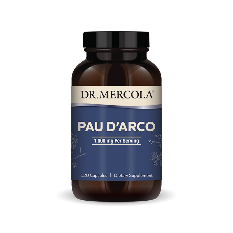 Pau D'Arco 500mg x120 Caps - Dr. - Dr. Mercola - Dr. Mercola